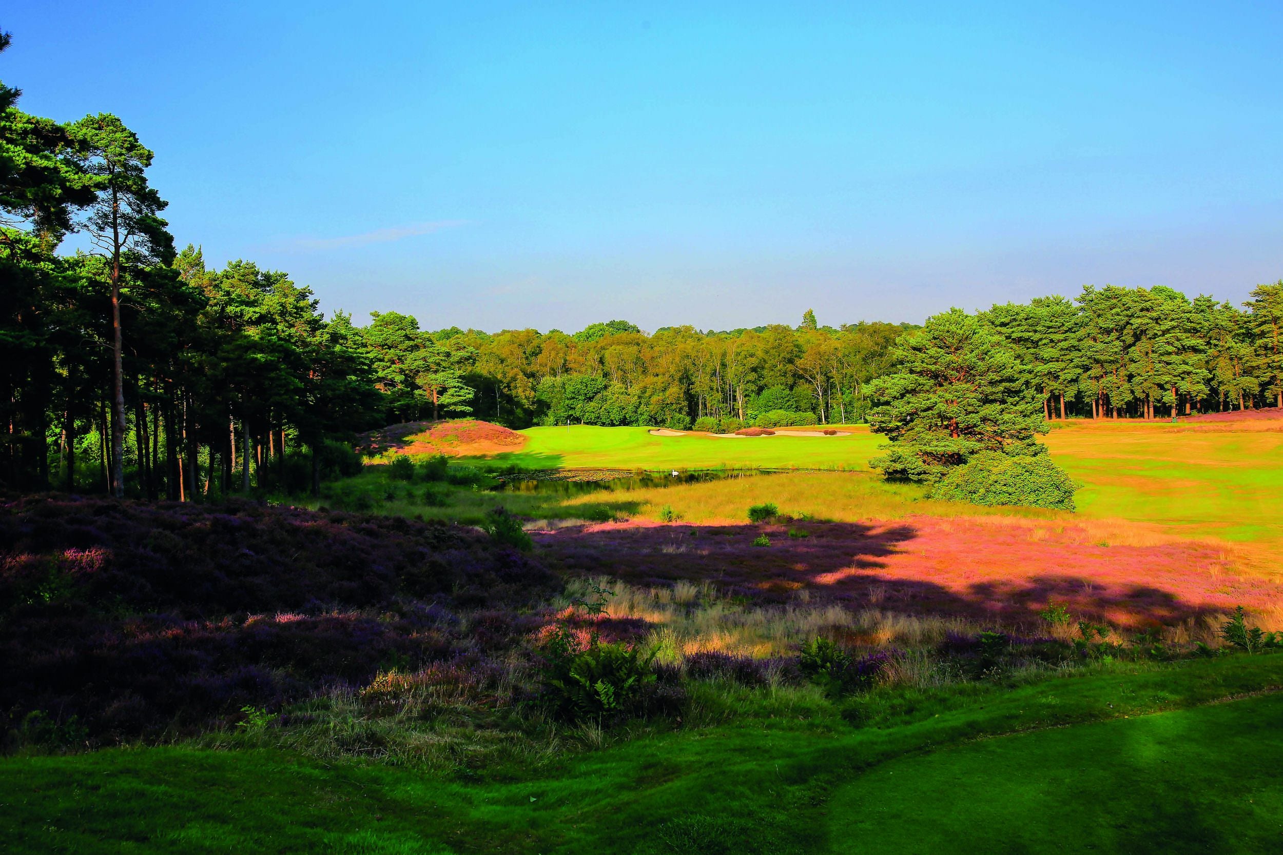 West Sussex Golf Club | Source: West Sussex Golf Club